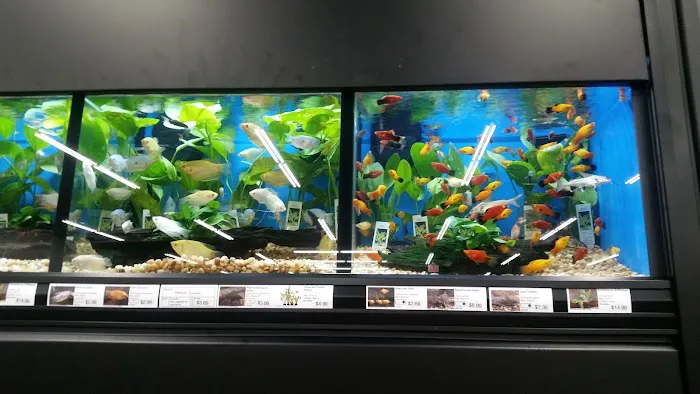 Pet Supermarket Picture 3