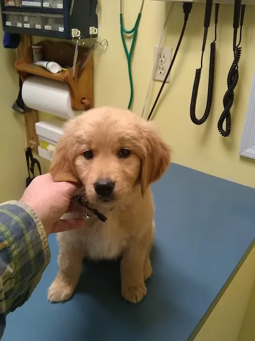 Canadensis Veterinary Clinic Picture 2