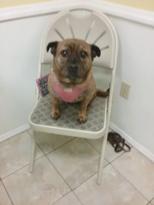 Canadensis Veterinary Clinic Picture 3