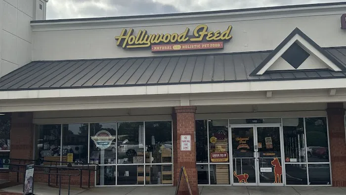 Hollywood Feed Picture 3