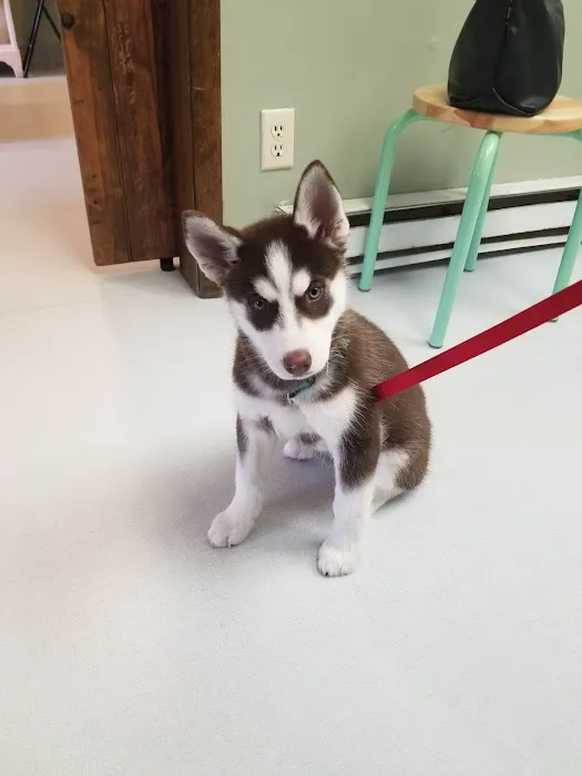 Pet Supermarket Picture 3