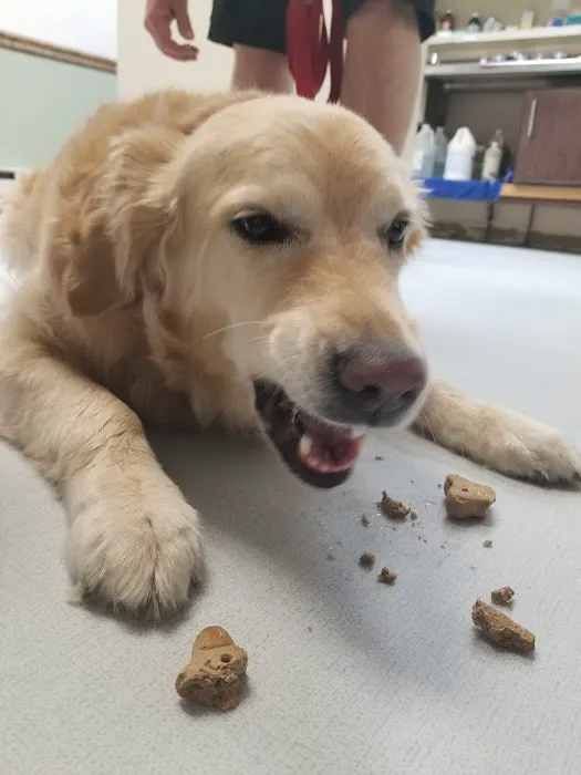 Pet Supermarket Picture 4