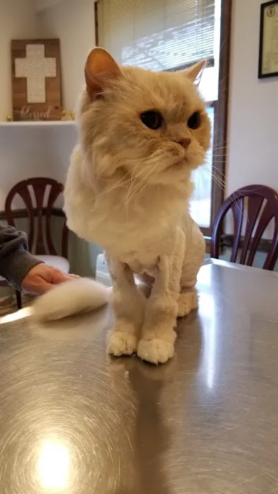 Pet Supermarket Picture 6