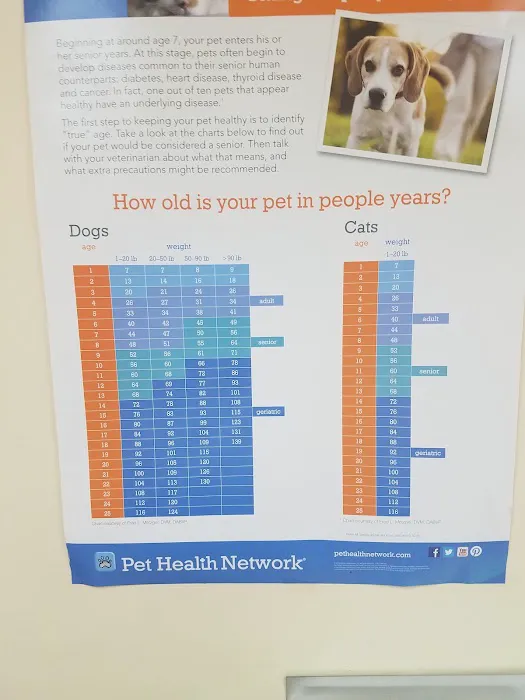 South Mountain Veterinary Hospital Picture 4