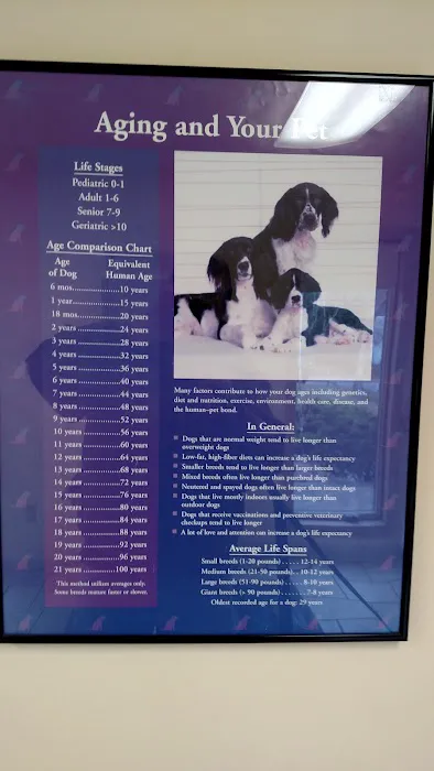 South Mountain Veterinary Hospital Picture 10