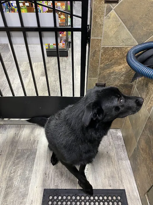 Pet Supermarket Picture 1