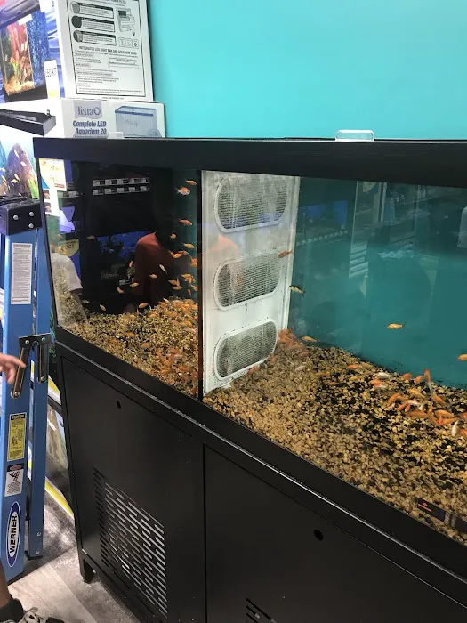 Pet Supermarket Picture 6