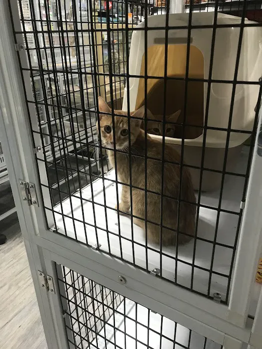 Pet Supermarket Picture 5