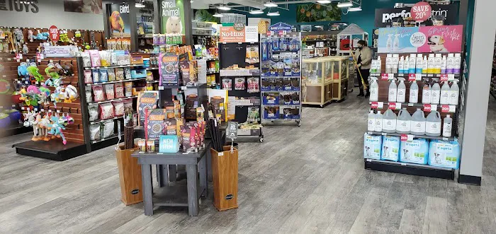 Pet Supermarket Picture 4