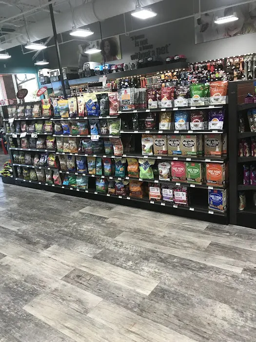 Pet Supermarket Picture 7