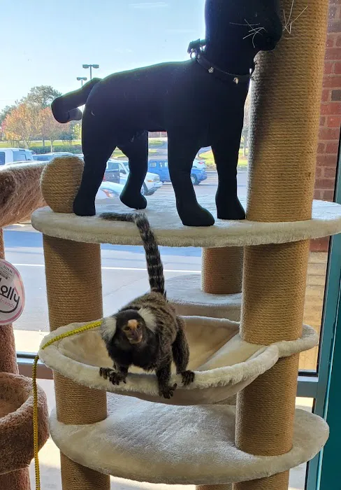 Pet Supermarket Picture 10