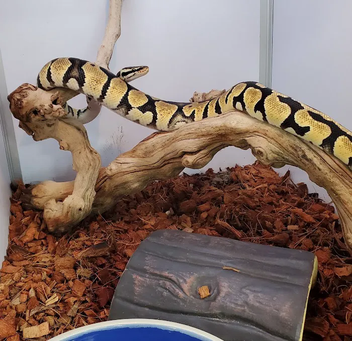 Pet Supermarket Picture 9