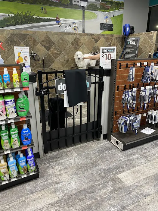 Pet Supermarket Picture 8