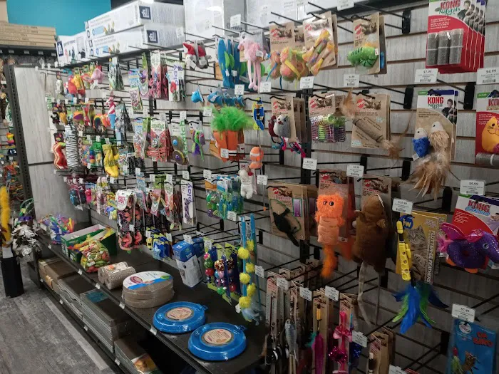 Pet Supermarket Picture 3