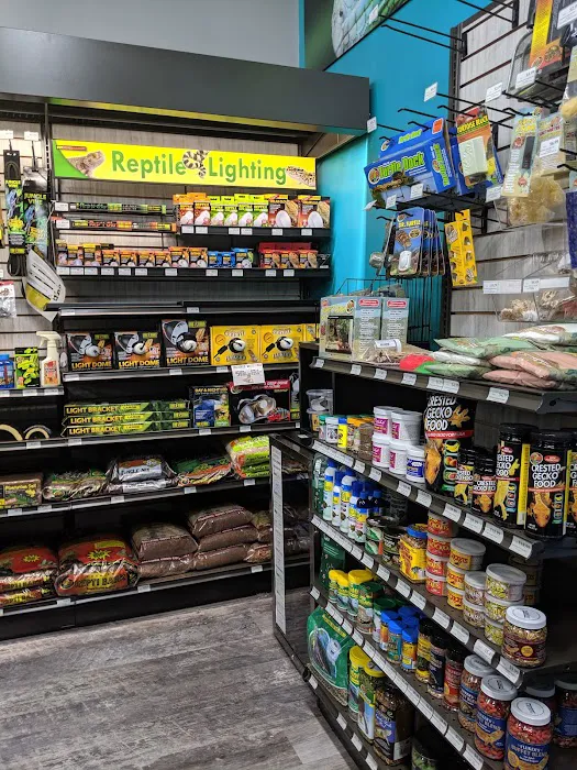 Pet Supermarket Picture 6