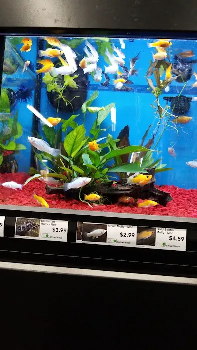Pet Supermarket Picture 2