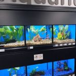 Pet Supermarket