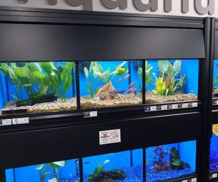 Pet Supermarket