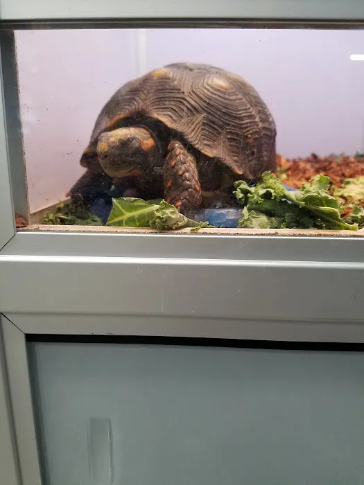 Pet Supermarket Picture 10