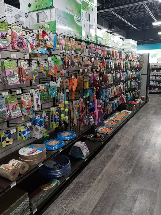 Pet Supermarket Picture 9