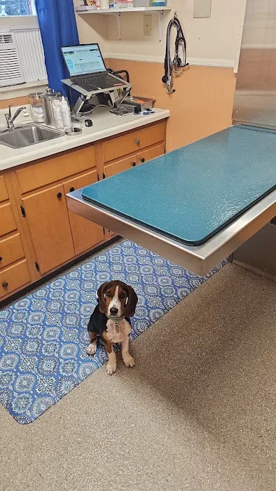 Mountaintop Animal Hospital Picture 3