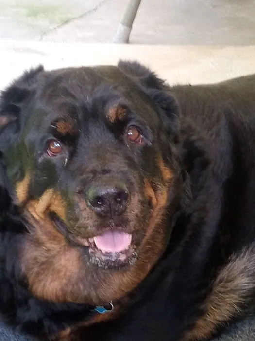 Mountaintop Animal Hospital Picture 6