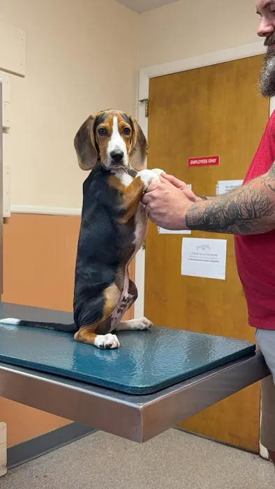 Mountaintop Animal Hospital Picture 5