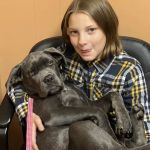 Mountaintop Animal Hospital