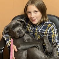 Mountaintop Animal Hospital ico