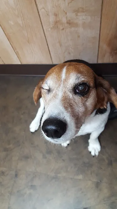 Mountaintop Animal Hospital Picture 4