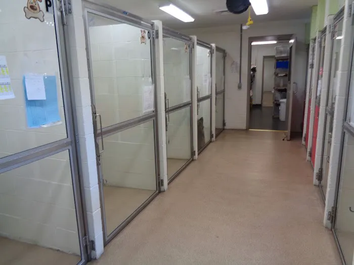 Nanticoke Animal Hospital Picture 2