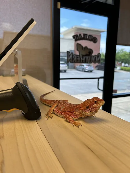 Great Southern Reptile Picture 2