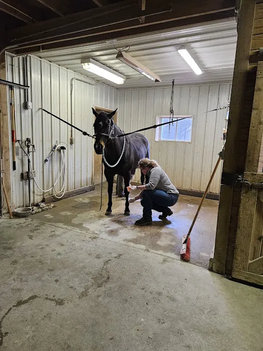 Green Glen Equine Hospital Picture 4