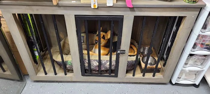 FOUR PAWS - Thrift Store for Dogs Picture 2