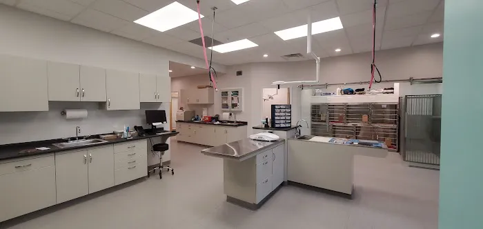Manchester Veterinary Services Picture 4