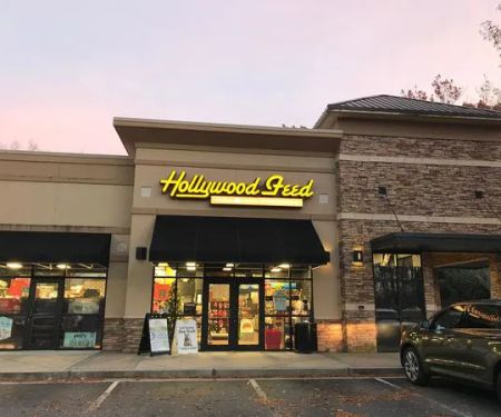 Hollywood Feed