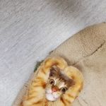 Manchester Veterinary Services: Callahan Jeff DVM