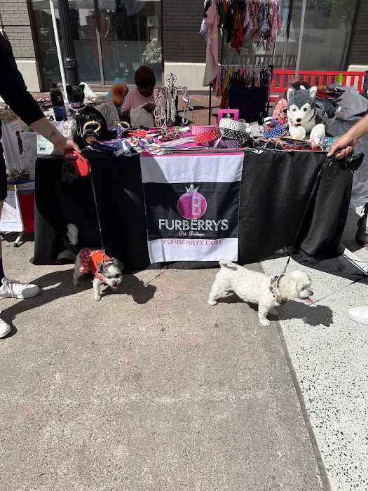 Furberrys Pet Boutique Picture 1