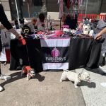 Furberrys Pet Boutique