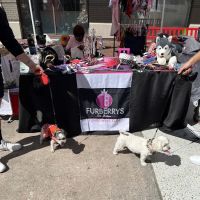 Furberrys Pet Boutique ico