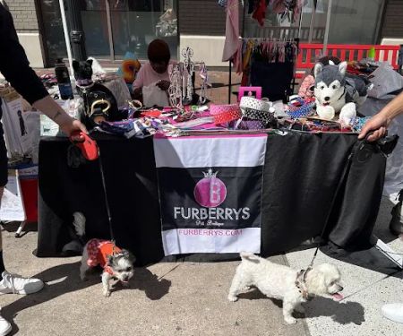 Furberrys Pet Boutique
