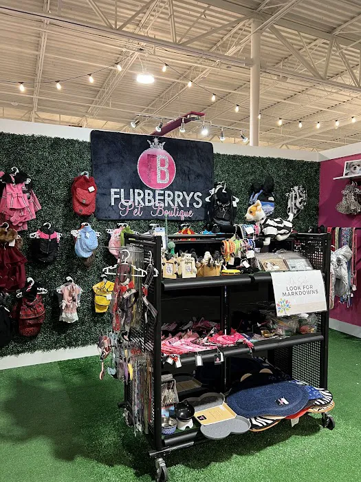 Furberrys Pet Boutique Picture 2