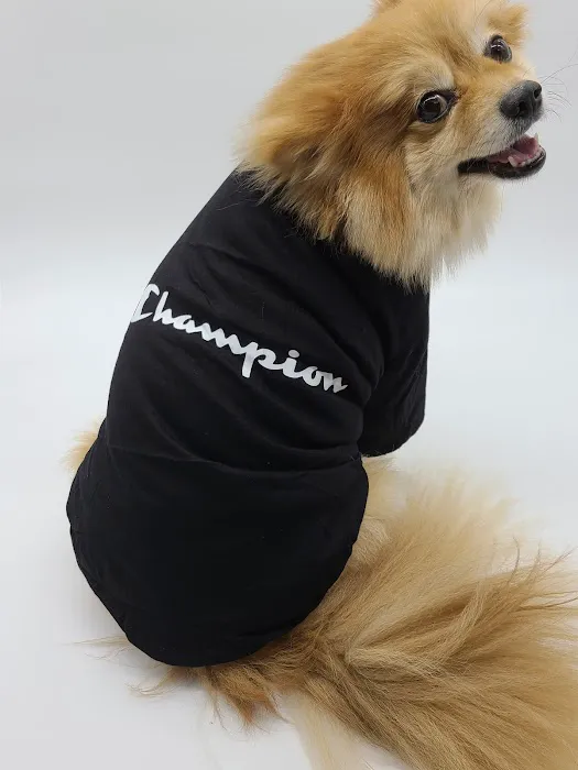 Furberrys Pet Boutique Picture 4