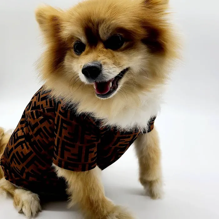 Furberrys Pet Boutique Picture 9