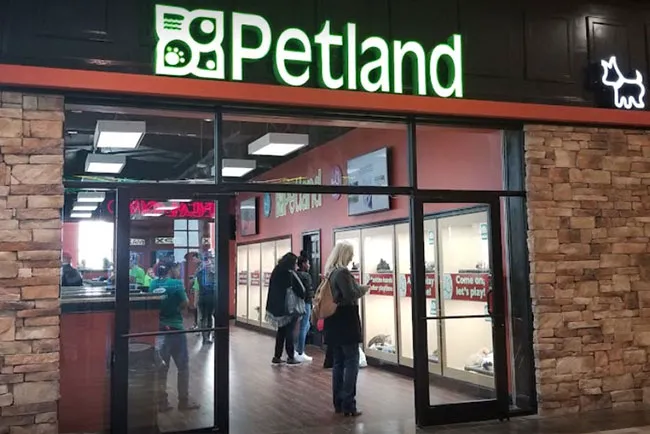 Petland Mall of Georgia Picture 3
