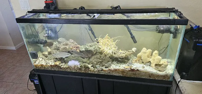 Central Garden & Pet Co Picture 4