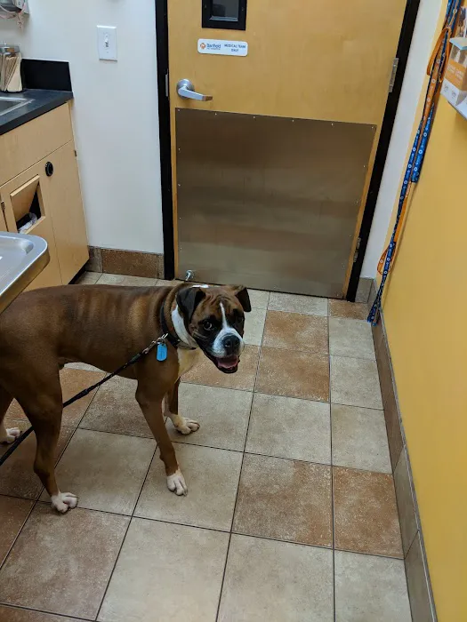 Banfield Pet Hospital Picture 5