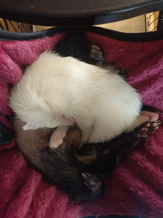 Petco Picture 3