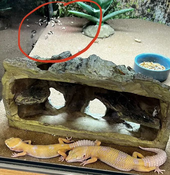 Petco Picture 4