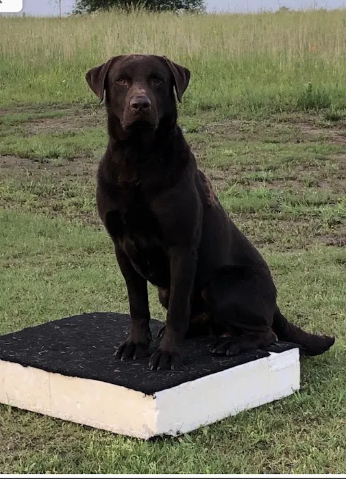 Sheppard's Superior Labs Picture 1